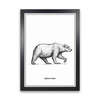 Grizzly Bear Art Print by Jason Stanley Black Grain