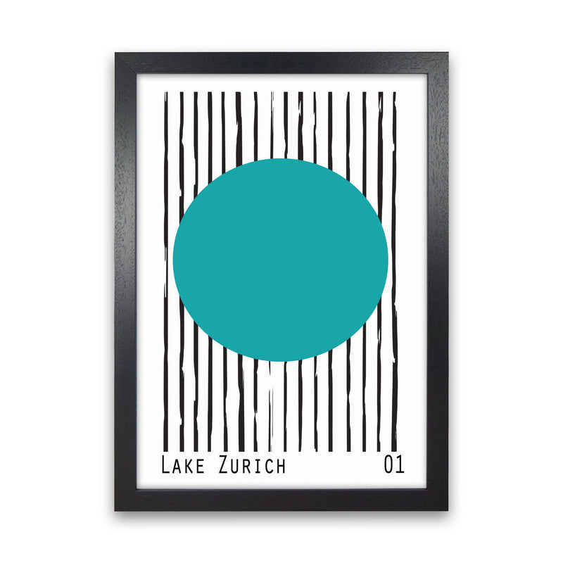 Lake Zurich Art Print by Jason Stanley Black Grain