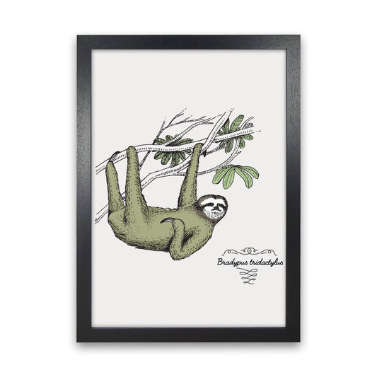 Sloth Art Print by Jason Stanley Black Grain