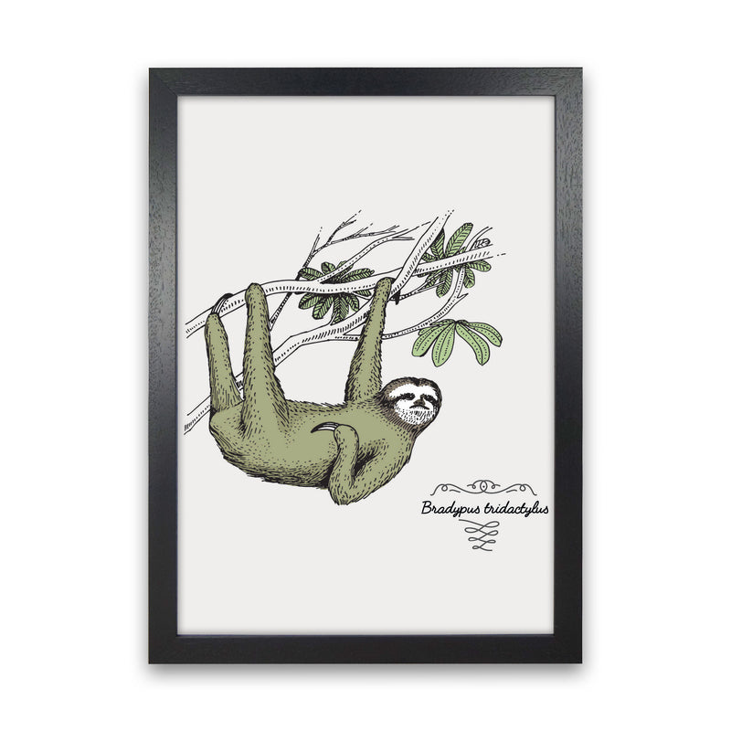 Sloth Art Print by Jason Stanley Black Grain