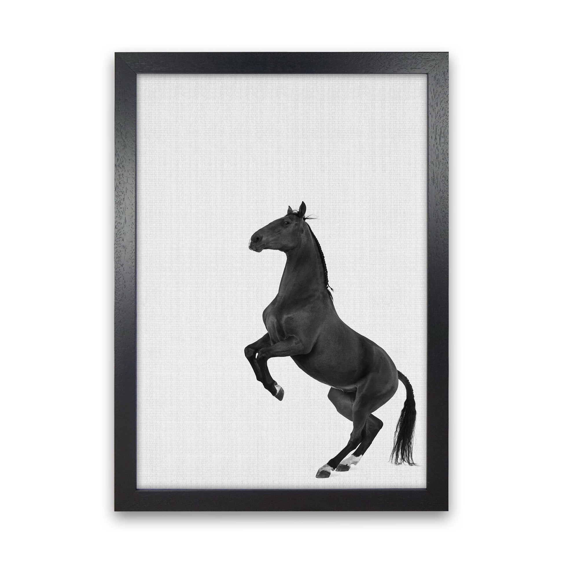 The Dark Horse Rides At Night #2 Art Print by Jason Stanley Black Grain