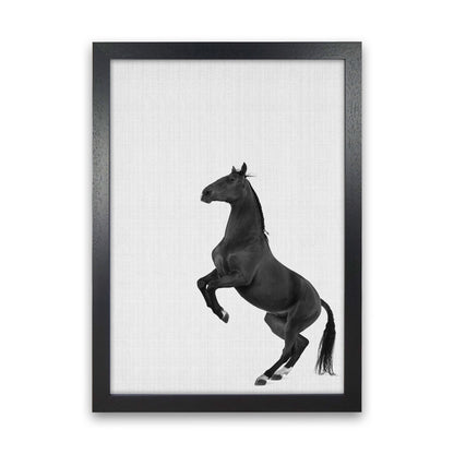 The Dark Horse Rides At Night #2 Art Print by Jason Stanley Black Grain