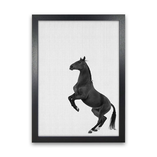 The Dark Horse Rides At Night #2 Art Print by Jason Stanley Black Grain