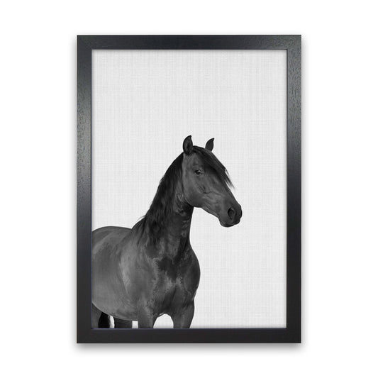 The Dark Horse Rides At Night Art Print by Jason Stanley Black Grain