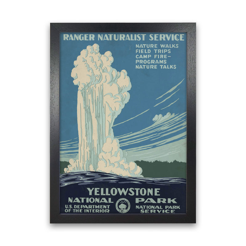 Yellowstone National Park Art Print by Jason Stanley Black Grain