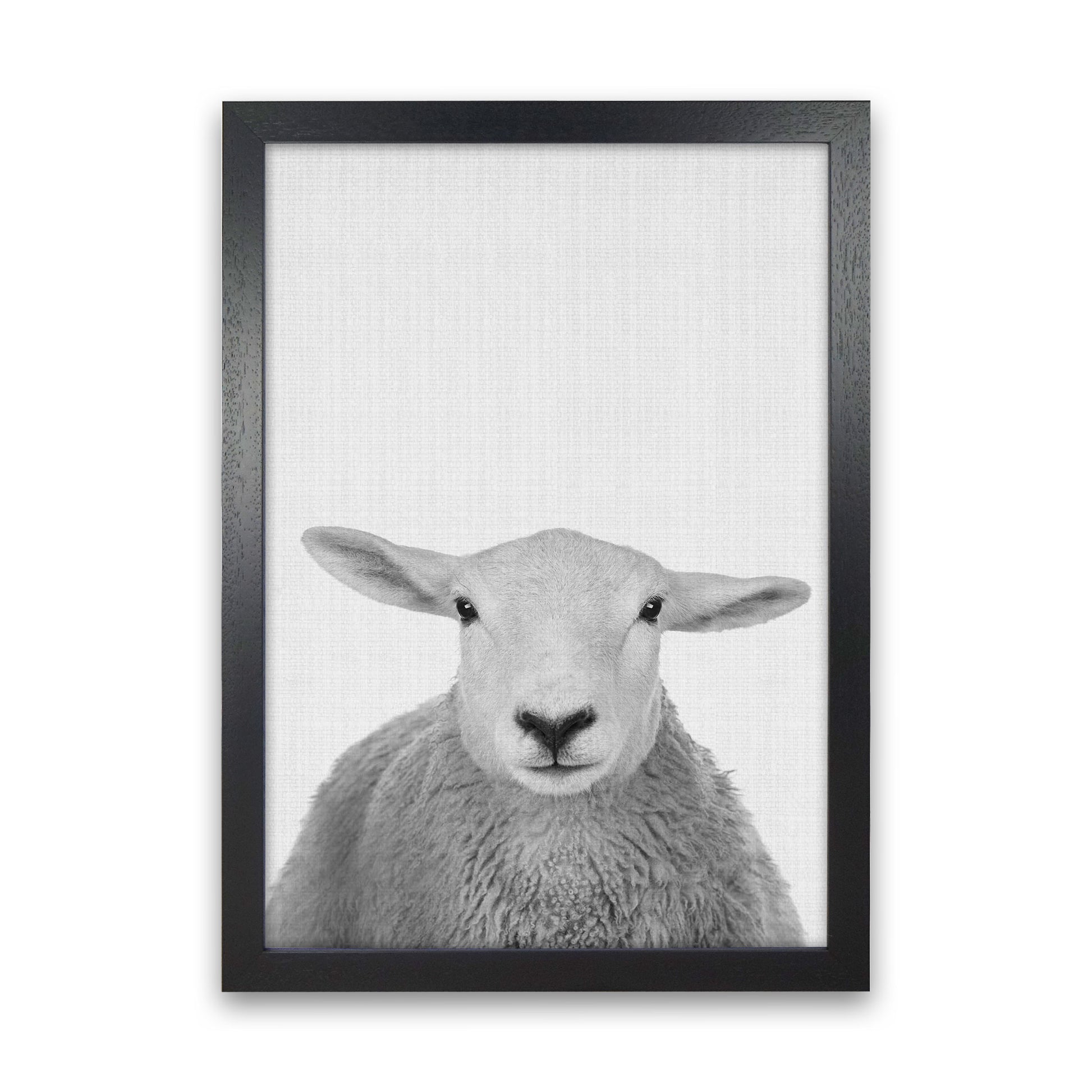 Trust This Wise Sheep Art Print by Jason Stanley Black Grain
