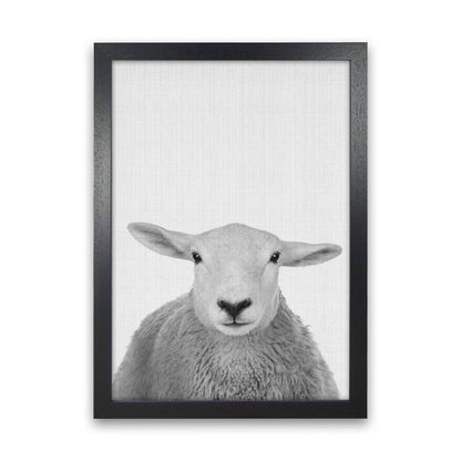 Trust This Wise Sheep Art Print by Jason Stanley Black Grain