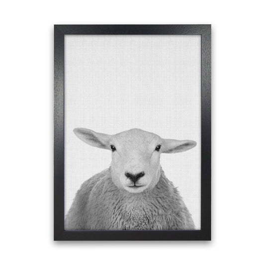 Trust This Wise Sheep Art Print by Jason Stanley Black Grain
