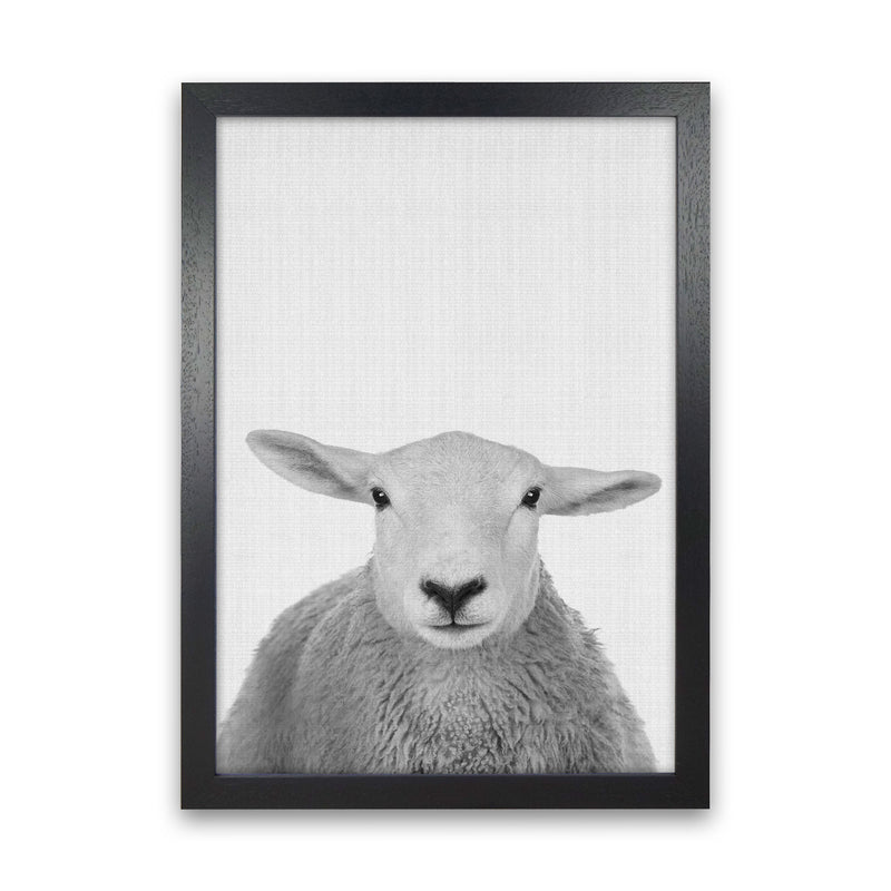 Trust This Wise Sheep Art Print by Jason Stanley Black Grain