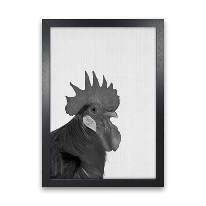 Cock A Doodle Doo Art Print by Jason Stanley Black Grain