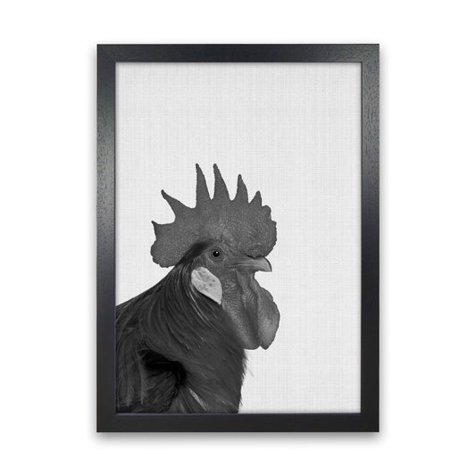 Cock A Doodle Doo Art Print by Jason Stanley Black Grain