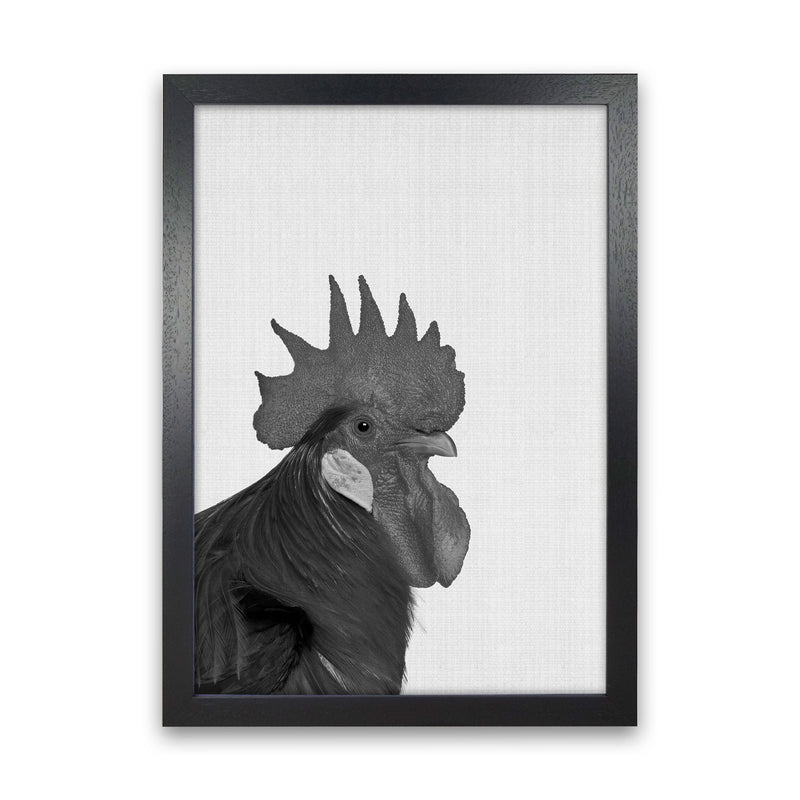 Cock A Doodle Doo Art Print by Jason Stanley Black Grain