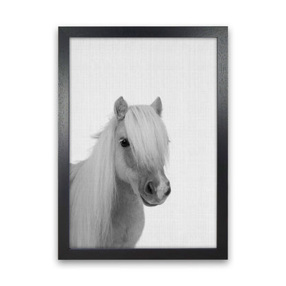 Stay Gold Pony Boy Art Print by Jason Stanley Black Grain