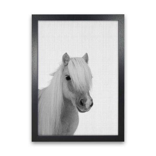 Stay Gold Pony Boy Art Print by Jason Stanley Black Grain