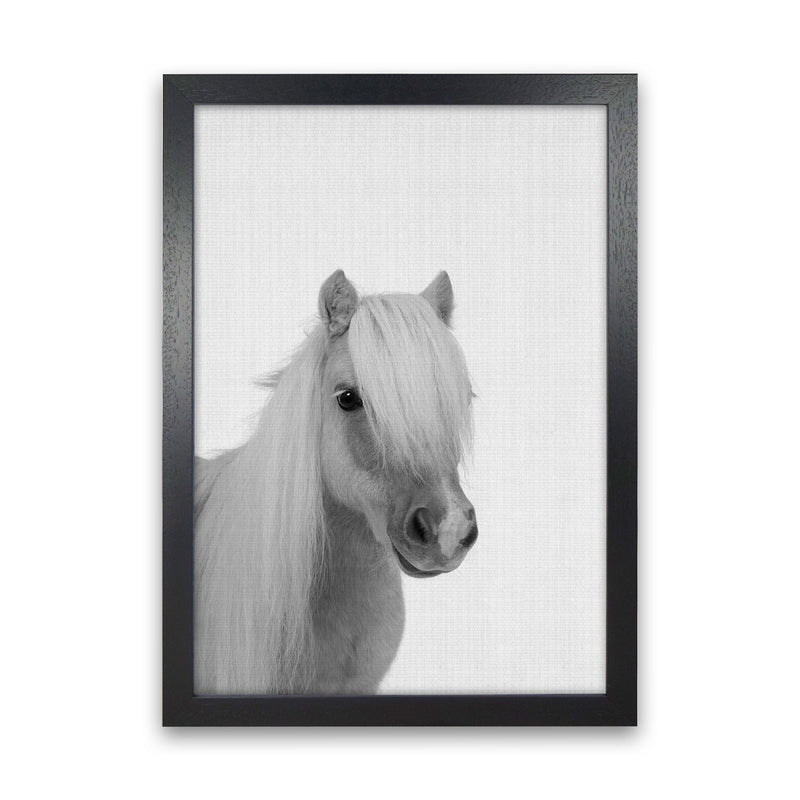 Stay Gold Pony Boy Art Print by Jason Stanley Black Grain