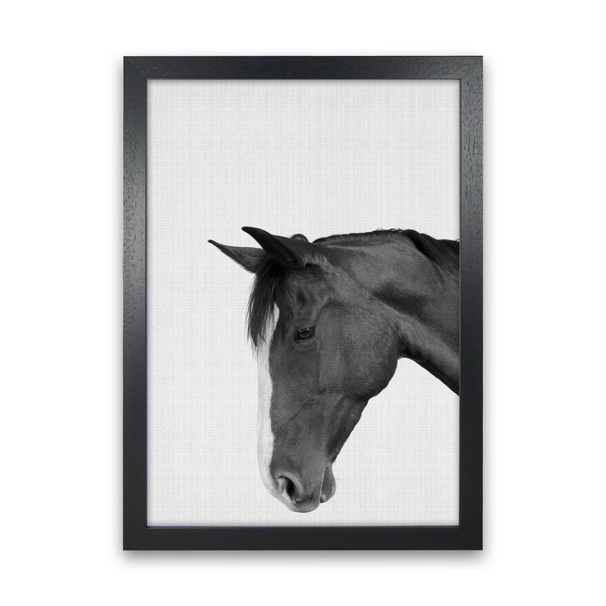 Man's Best Friend Art Print by Jason Stanley Black Grain