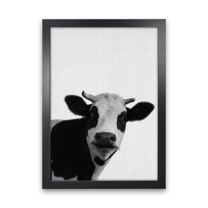 Holy Cow Art Print by Jason Stanley Black Grain
