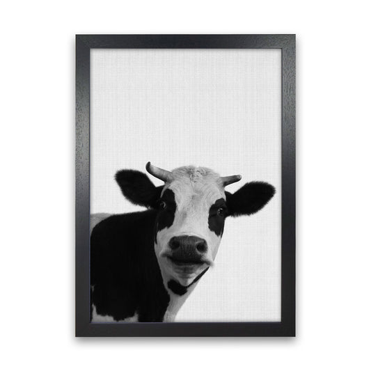 Holy Cow Art Print by Jason Stanley Black Grain