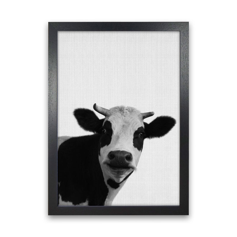 Holy Cow Art Print by Jason Stanley Black Grain