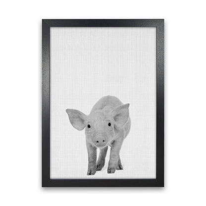 The Cutest Pig Art Print by Jason Stanley Black Grain