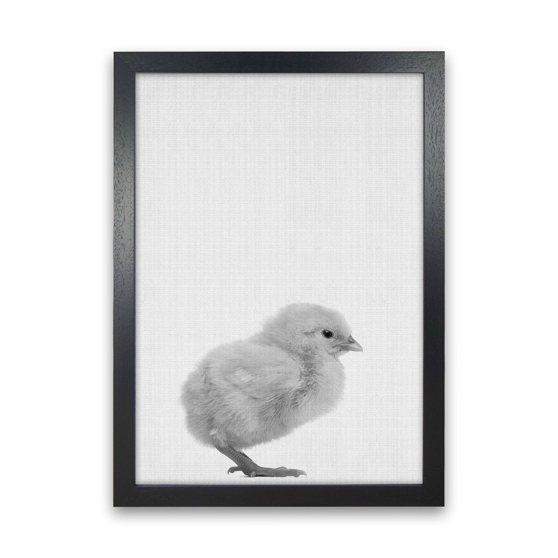 2X3_Chick Art Print by Jason Stanley Black Grain