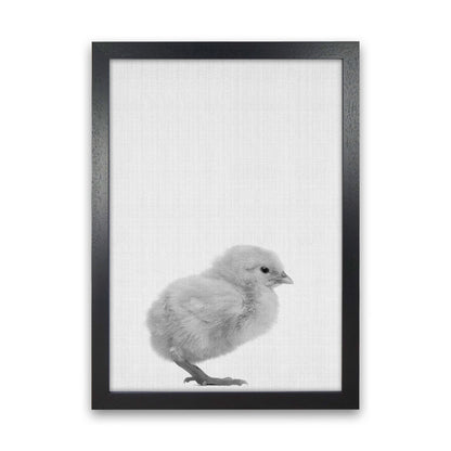 2X3_Chick Art Print by Jason Stanley Black Grain