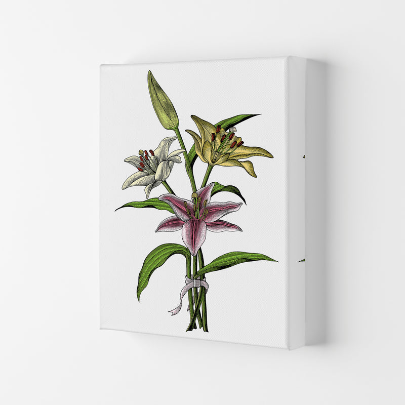 Vintage Lilly Illustration Art Print by Jason Stanley Canvas