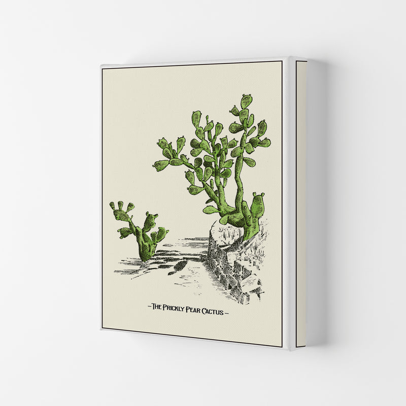 The Prickly Pear Cactus Art Print by Jason Stanley Canvas