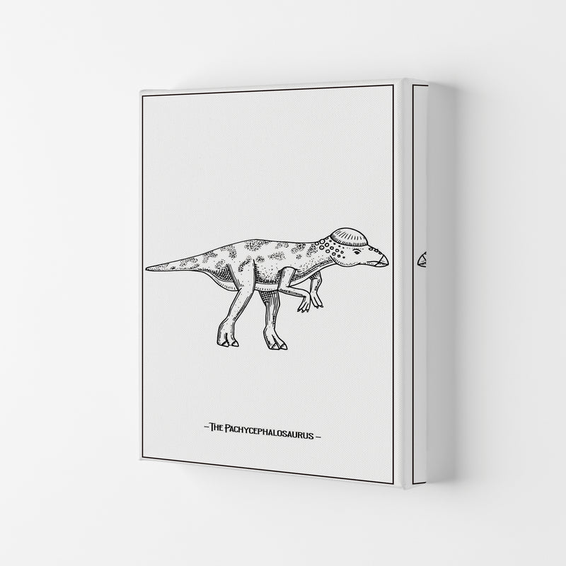 The Pachycephalosaurus Art Print by Jason Stanley Canvas
