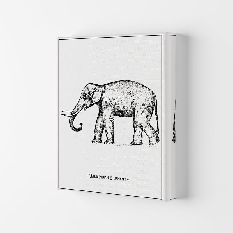Wild Indian Elephant Art Print by Jason Stanley Canvas
