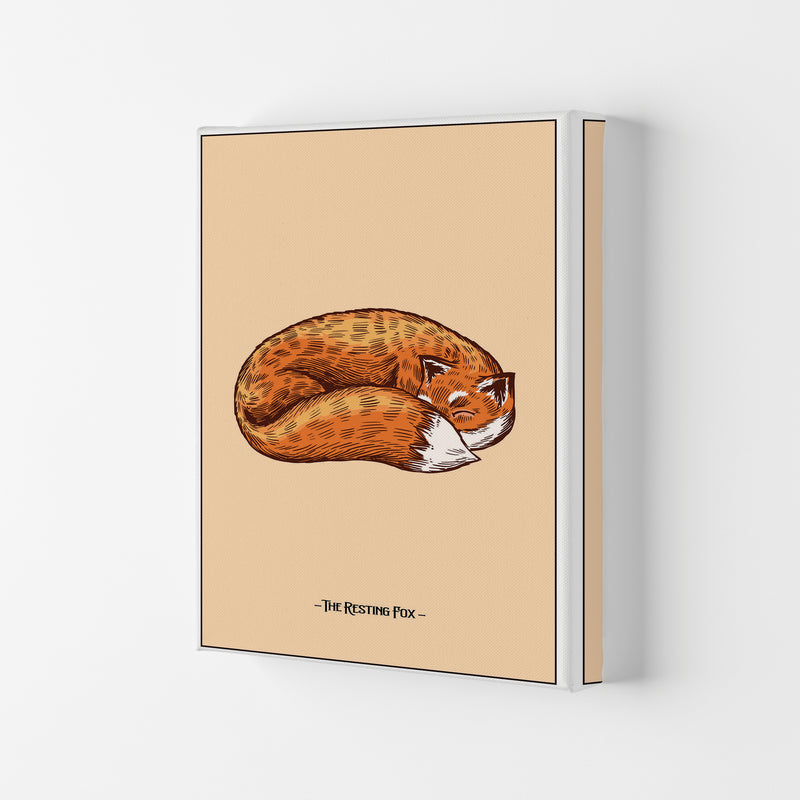The Resting Fox Art Print by Jason Stanley Canvas