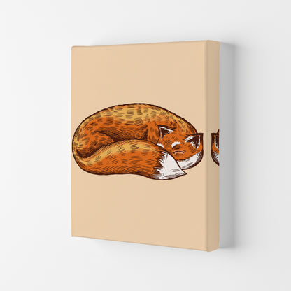 The Sleeping Fox Art Print by Jason Stanley Canvas