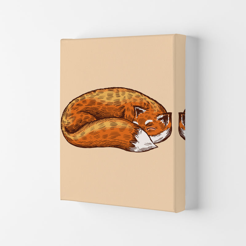 The Sleeping Fox Art Print by Jason Stanley Canvas