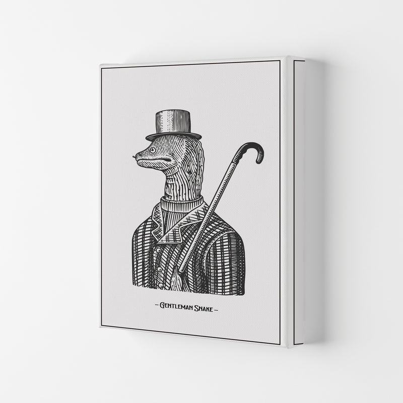 Gentlemen Snake Art Print by Jason Stanley Canvas
