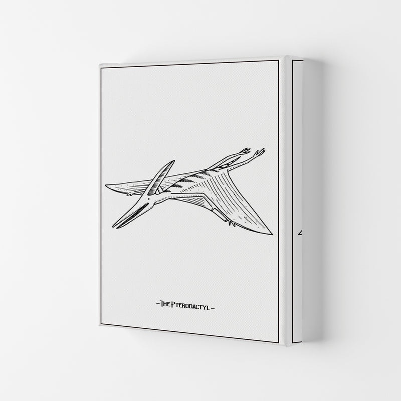 The Pterodactyl Art Print by Jason Stanley Canvas