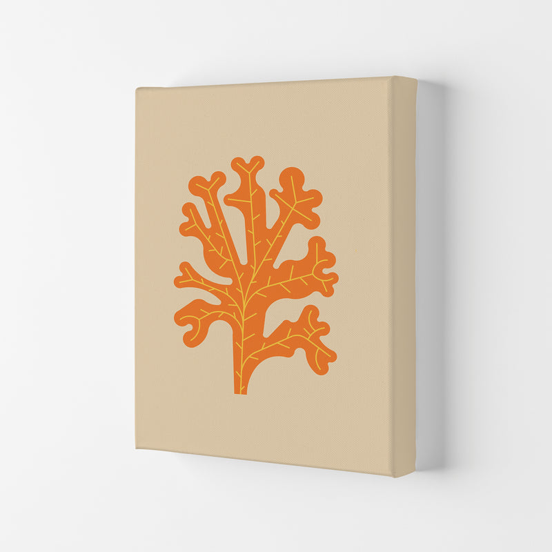 Orange Seaweed Art Print by Jason Stanley Canvas