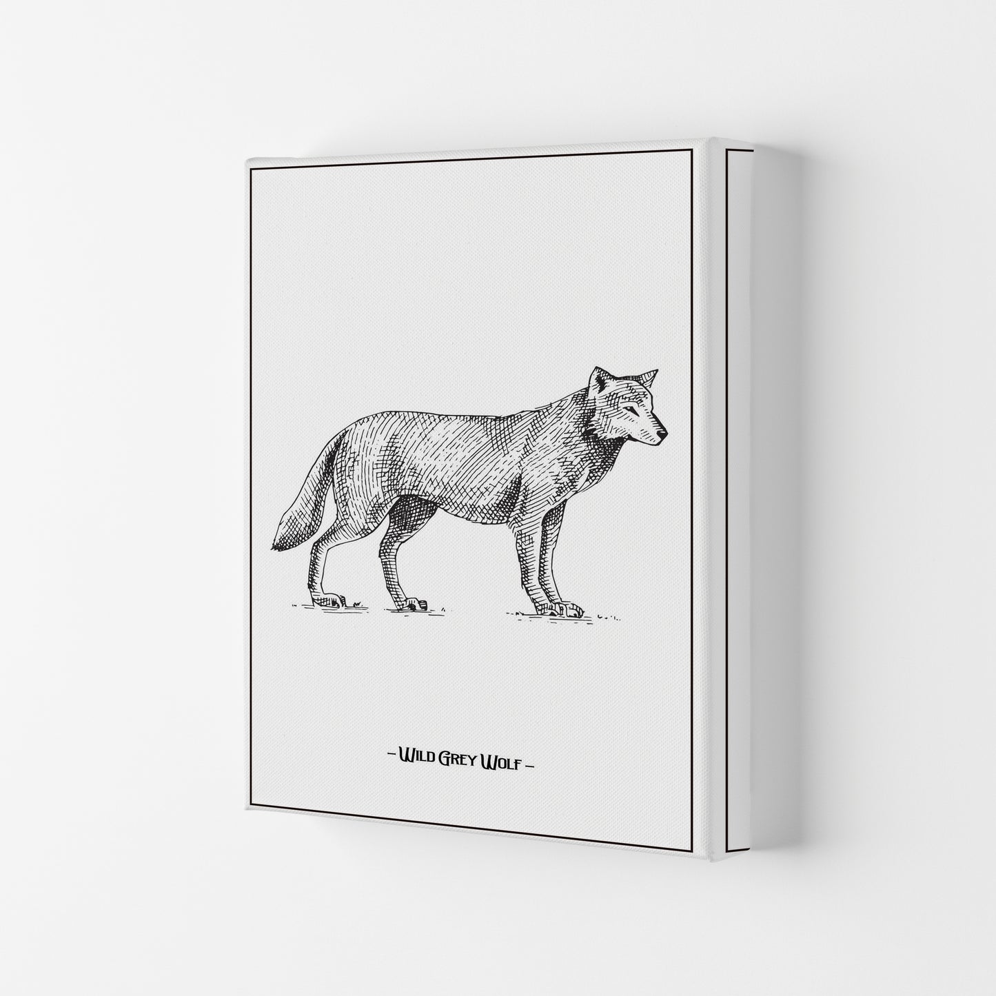 Wild Grey Wolf Art Print by Jason Stanley Canvas