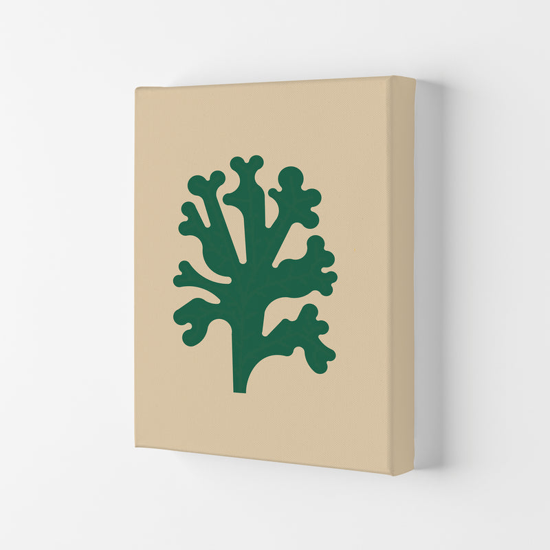 Cutout Seaweed Art Print by Jason Stanley Canvas