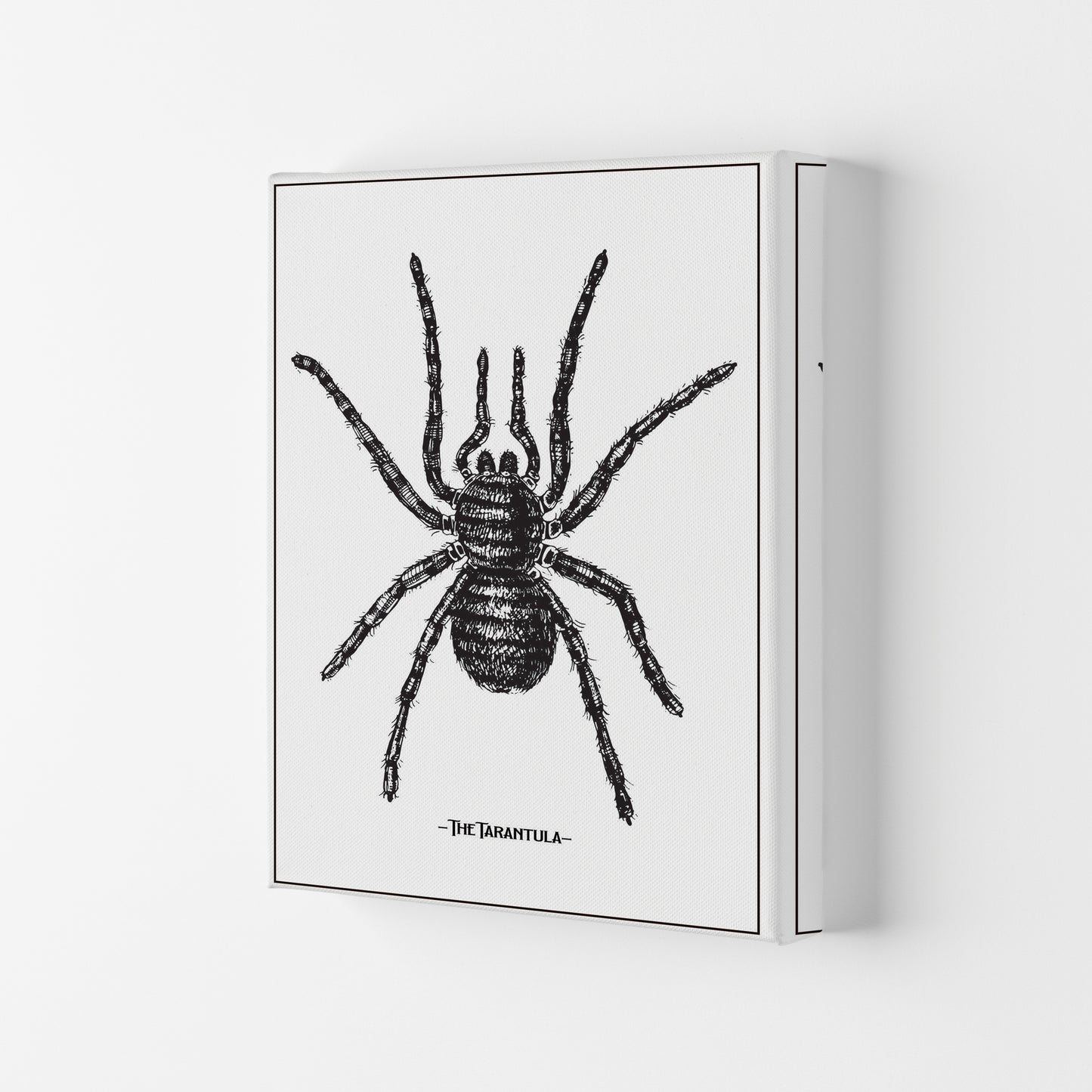 The Tarantula Art Print by Jason Stanley Canvas