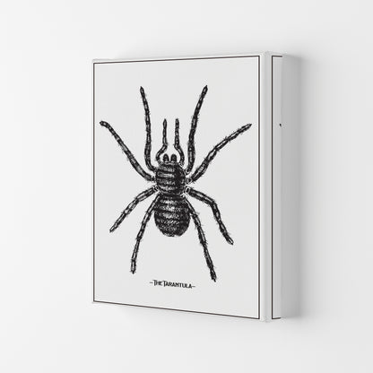The Tarantula Art Print by Jason Stanley Canvas