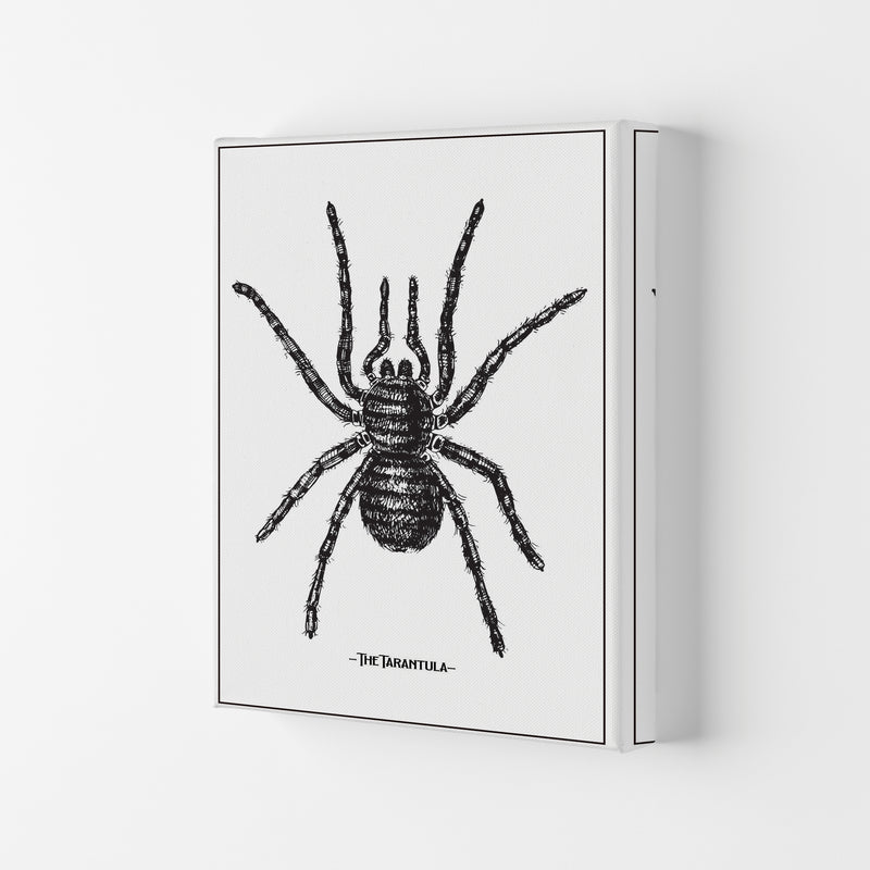 The Tarantula Art Print by Jason Stanley Canvas