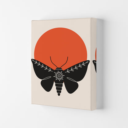 Sunshine Moth Art Print by Jason Stanley Canvas