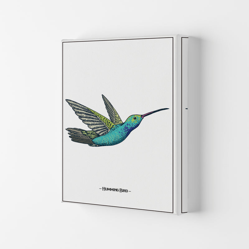 Humming Bird Art Print by Jason Stanley Canvas