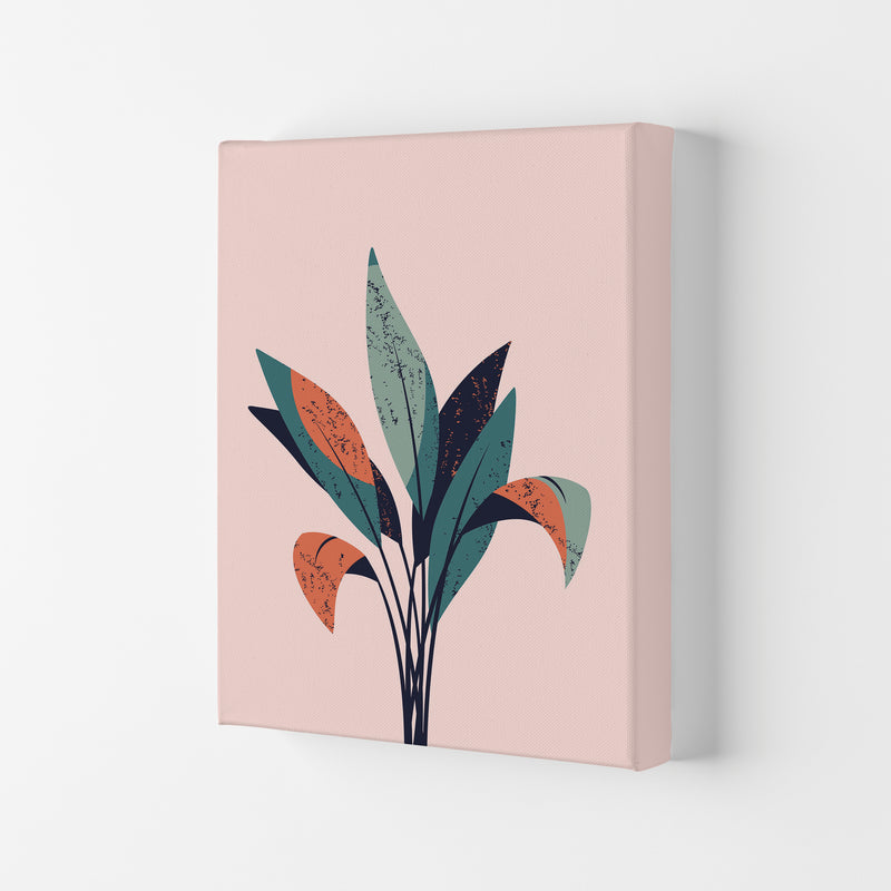 Pink Plant Art Print by Jason Stanley Canvas