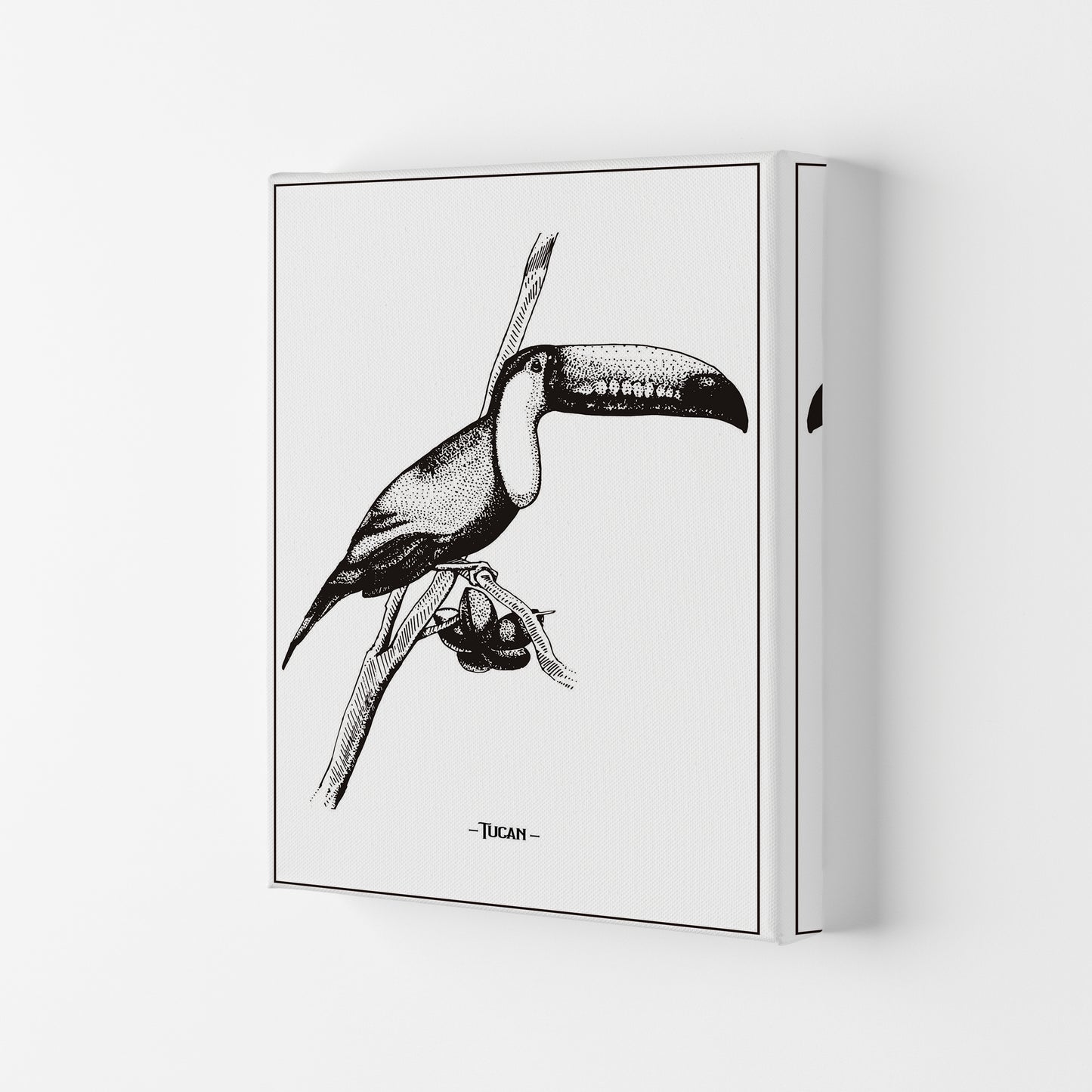 Tucan Art Print by Jason Stanley Canvas