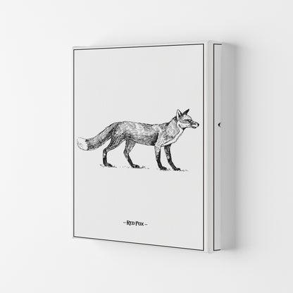 Red Fox Art Print by Jason Stanley Canvas