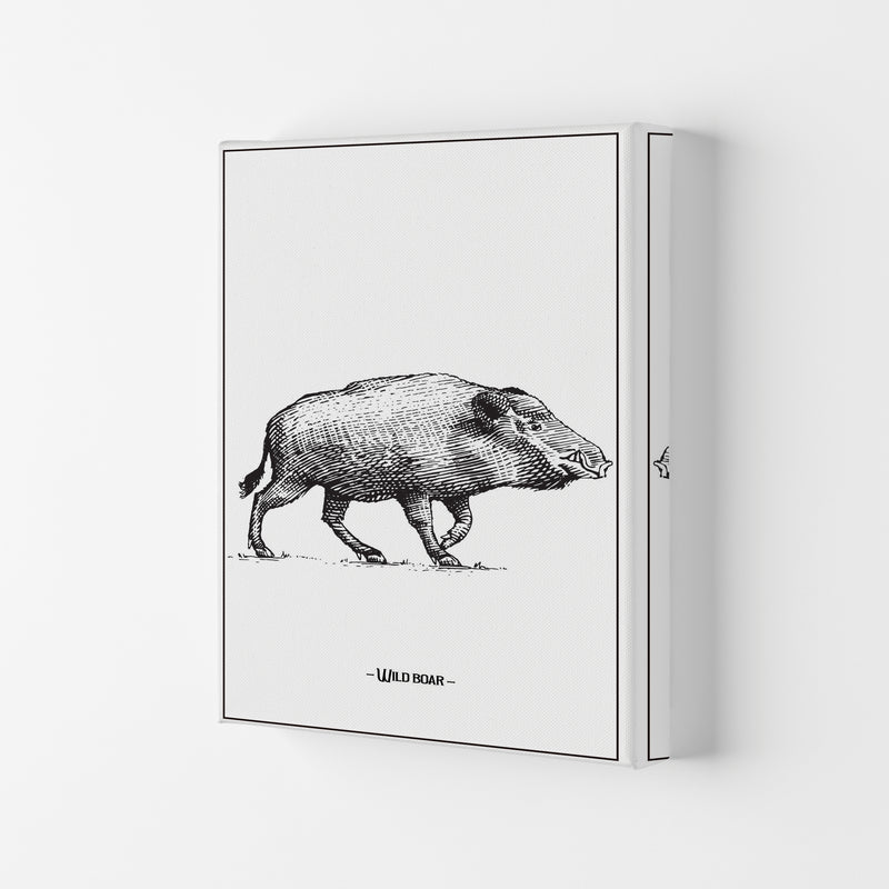 Wild Boar Art Print by Jason Stanley Canvas