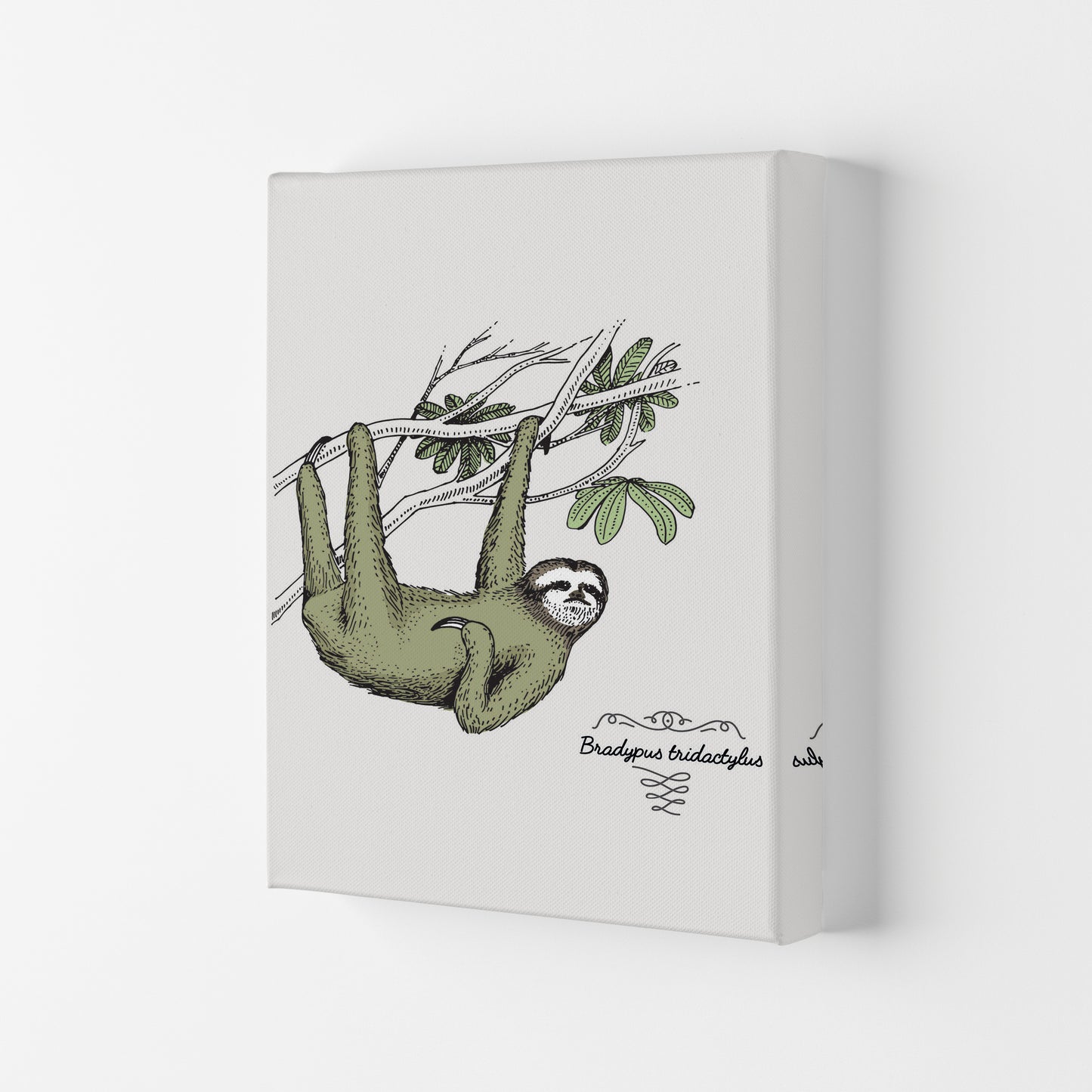 Sloth Art Print by Jason Stanley Canvas
