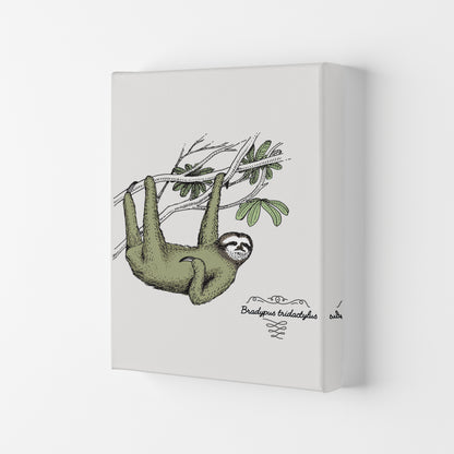 Sloth Art Print by Jason Stanley Canvas