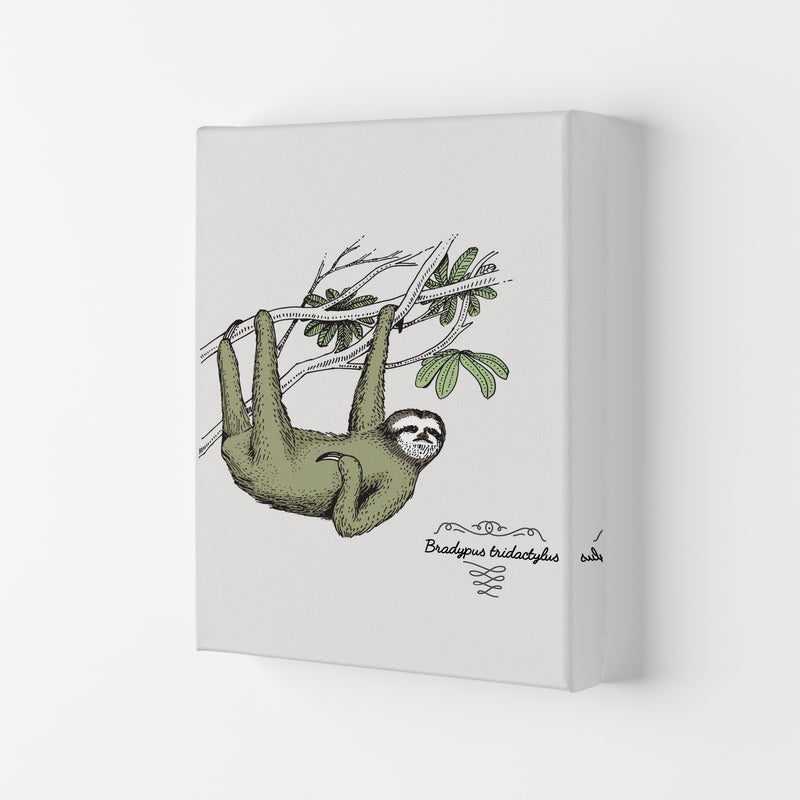 Sloth Art Print by Jason Stanley Canvas